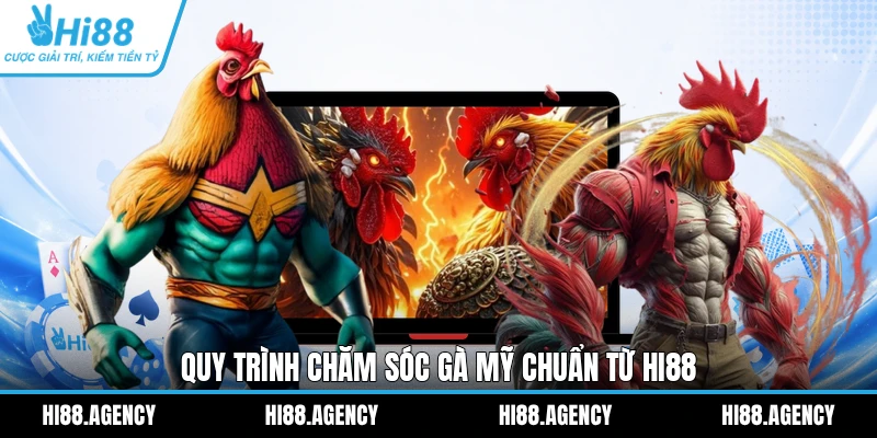 Quy trình chăm sóc gà Mỹ chuẩn từ HI88